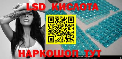 СК Новодвинск