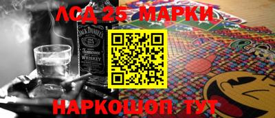 СК Новодвинск
