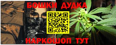 СК Новодвинск