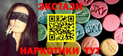 СК Новодвинск