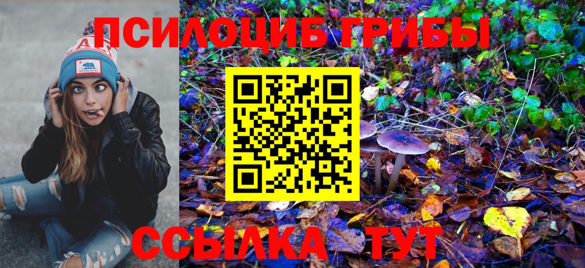 Тольятти  Галлюциногенные грибы мухоморы  купить наркотик  Псилоцибиновые грибы Cubensis  Вход с VPN 